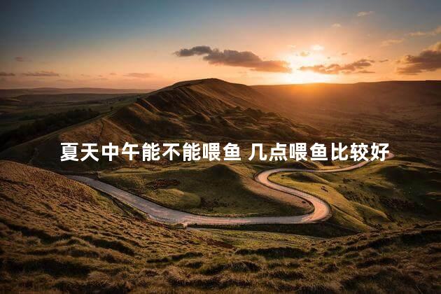 夏天中午能不能喂鱼 几点喂鱼比较好